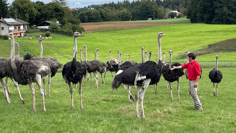 Still image for Helden der Landwirtschaft season 1 episode 3: Episode 3