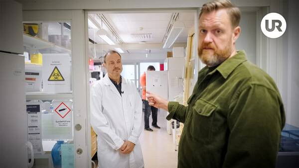 Still image for Sverige, krisen och jag season 1 episode 4: Episode 4