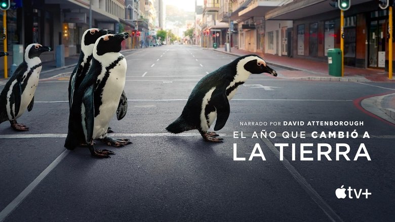 El año en el que el mundo cambió (2021)