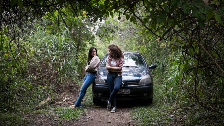 Image d'arrière-plan 2 du film Aloha, Malandro!