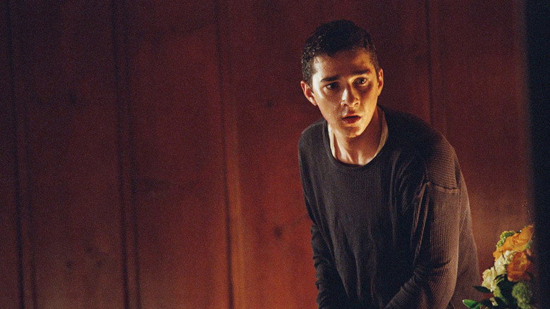 Дистърбия — кадър