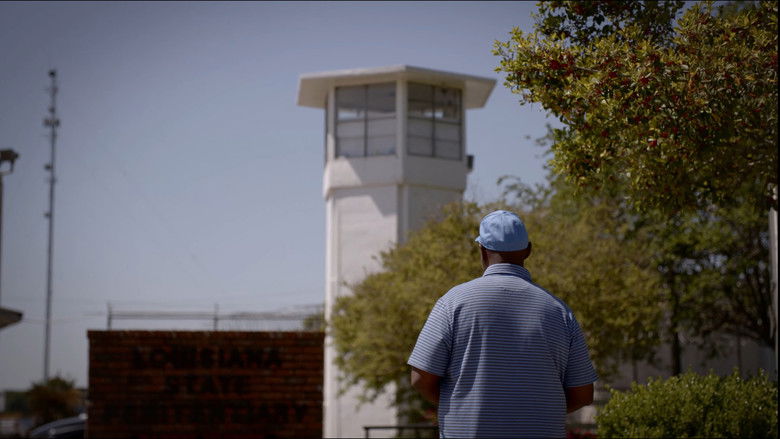 Gallery image from 5nRBLiaAU8aw8eBoY24Ev4IyWa3.jpg