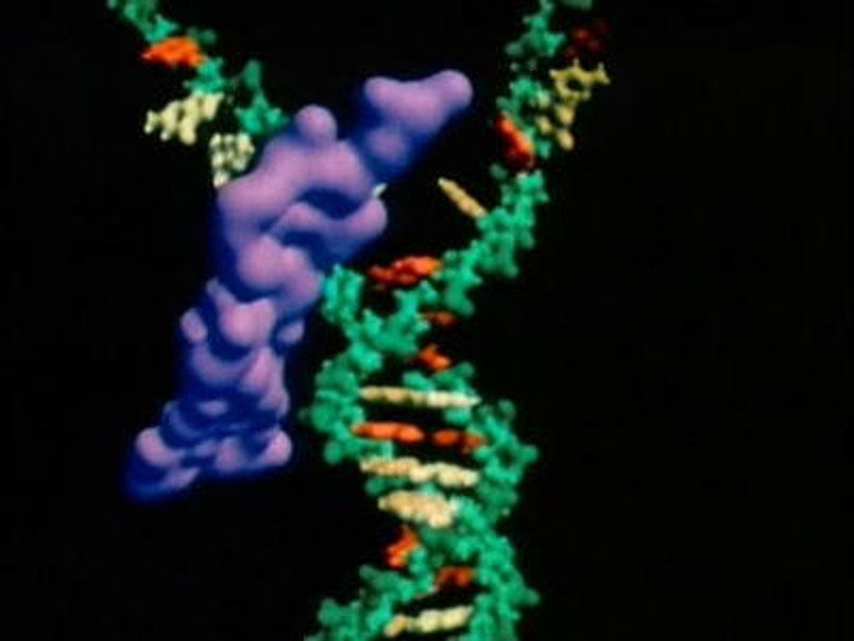 Still from Cosmos: A Personal Voyage - Season 1 Episode 11