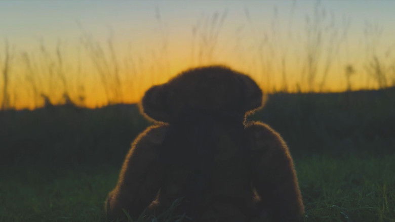 Imatge de The Boy and the Bear