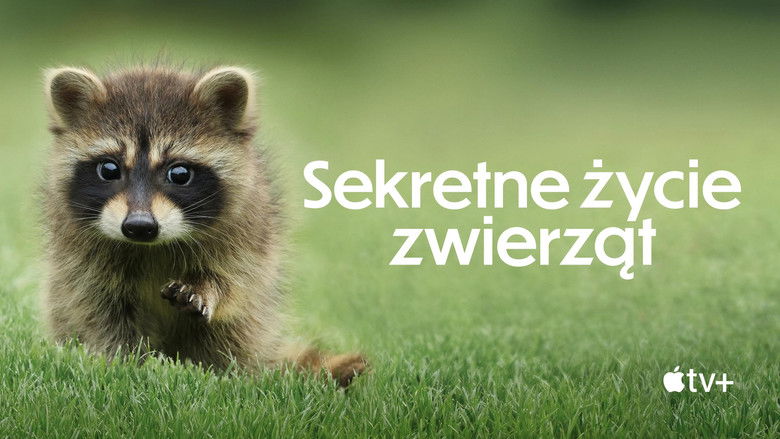 Gallery image from 5ocTgAMZD9kBBks0z7E96df9LPh.jpg