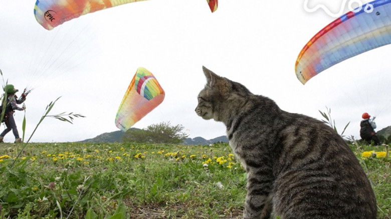 Still image for Mitsuaki Iwago's World “Cats” Travelogue season 1 episode 114: Ibaraki Still image for Mitsuaki Iwago's World “Cats” Travelogue season 1 episode 114: Ibaraki