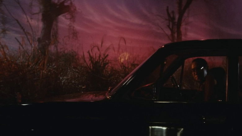 Image d'arrière-plan 10 du film 怪猫トルコ風呂