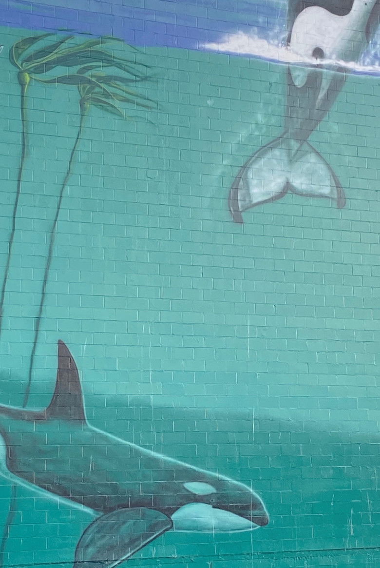 Imatge de The Far Country