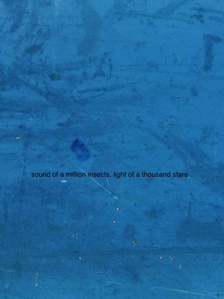 Imatge de Sound of a Million Insects, Light of a Thousand Stars