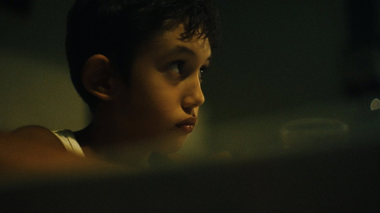 Imatge de I fiori non hanno le scarpe