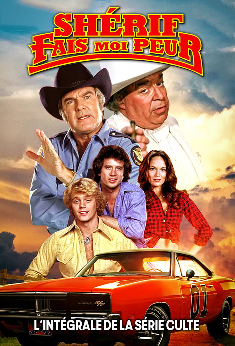 Póster la Serie
