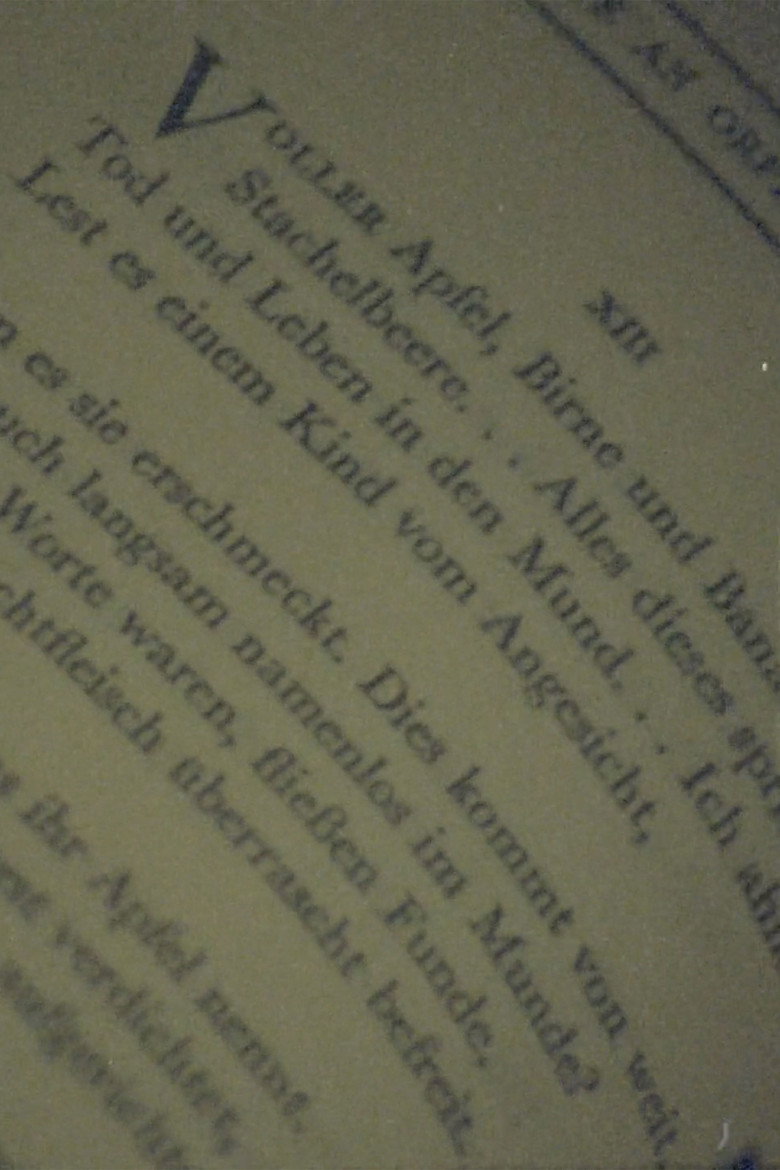 how surely gravity's law I background