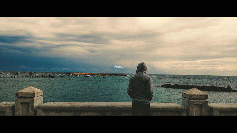 Imatge de Out Of Sight