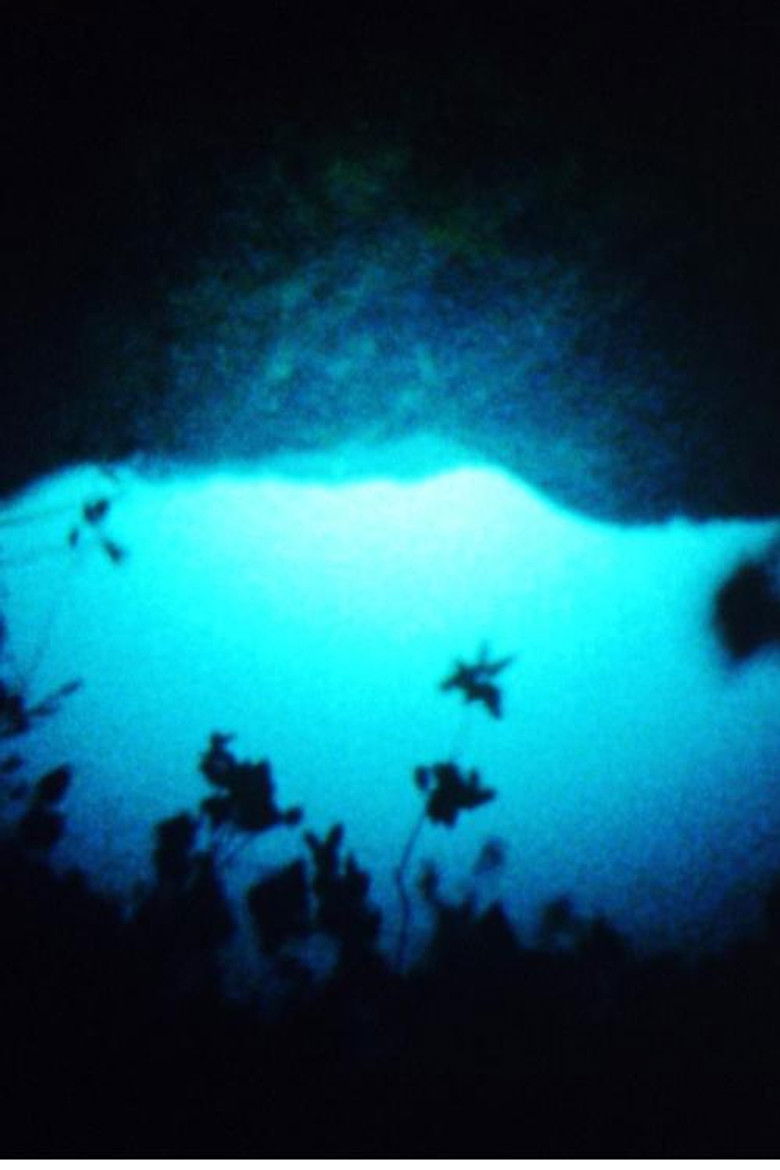 Imatge de This Must Be the Wood