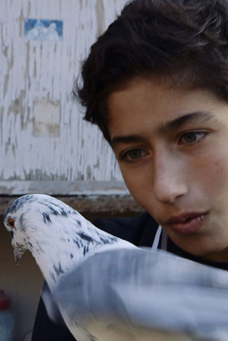 Imatge de Fugledrengen