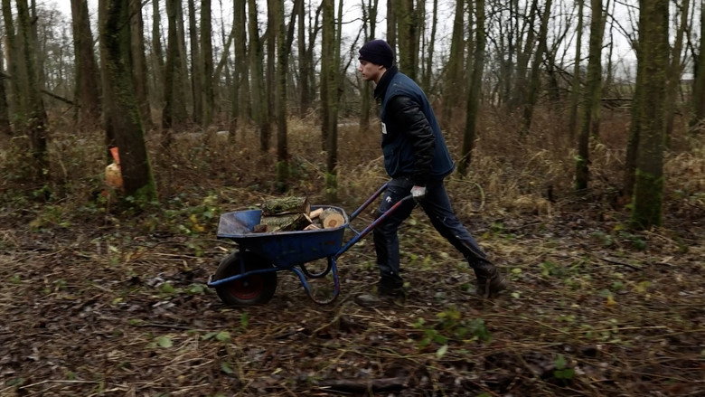 Imatge de A Choppy Birthday