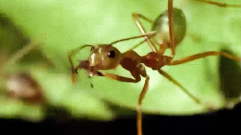 Still image for Trials of Life season 1 episode 7: Living Together Still image for Trials of Life season 1 episode 7: Living Together