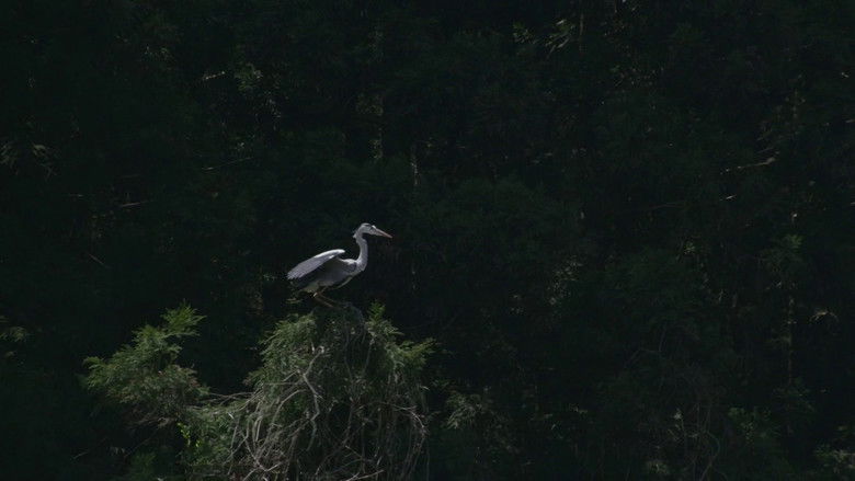 Image d'arrière-plan 8 du film Little Forest: Winter/Spring