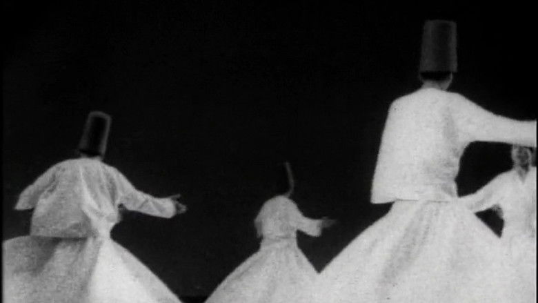 Imatge de Mevlevi - Les Derviches tourneurs