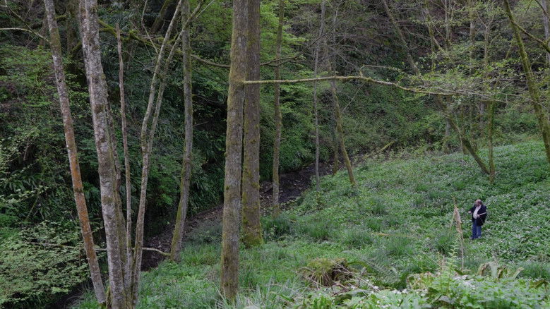 Imatge de Un regard sur l'oeuvre