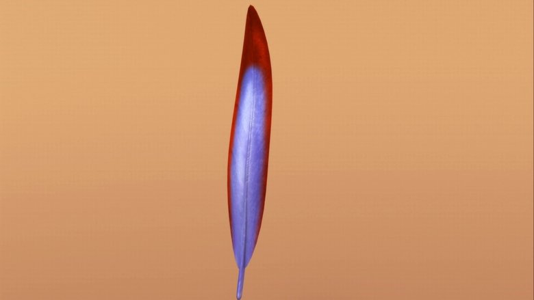 Still image for Dinosaur Train season 1 episode 13: Now with Feathers! Still image for Dinosaur Train season 1 episode 13: Now with Feathers!