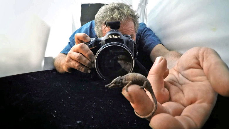 Still image for Rare: Creatures of the Photo Ark season 1 episode 1: Episode 1 Still image for Rare: Creatures of the Photo Ark season 1 episode 1: Episode 1