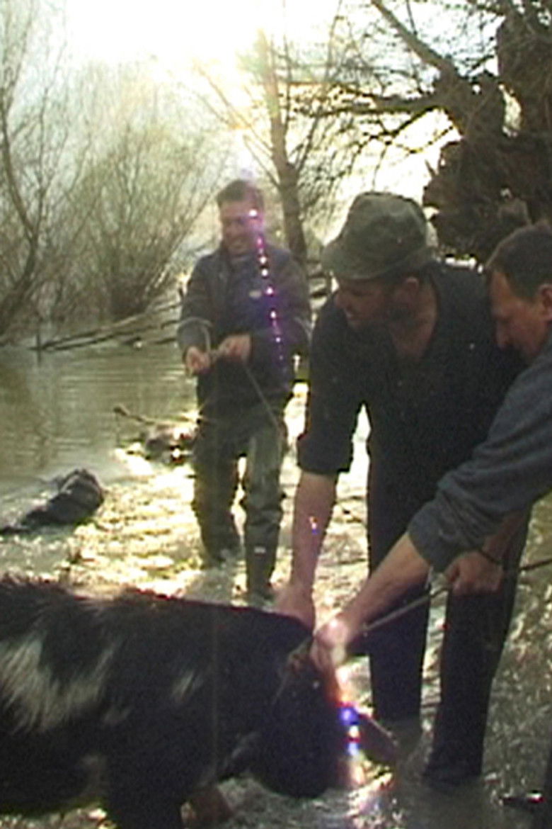 Imatge de Naš čovek u Gabonu
