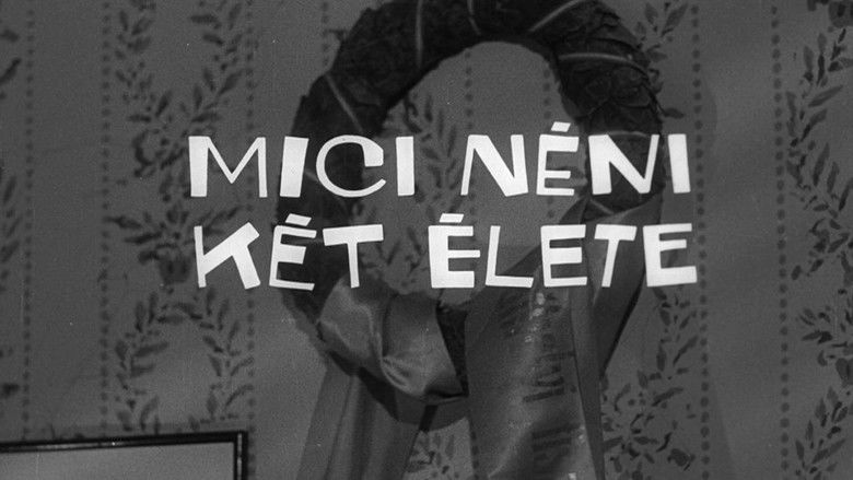 Image d'arrière-plan 1 du film Auntie Who Was Respectable