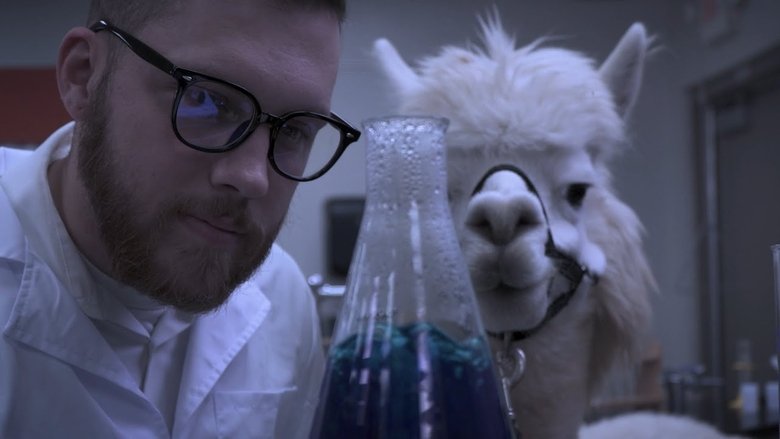Alpacalypse main backdrop
