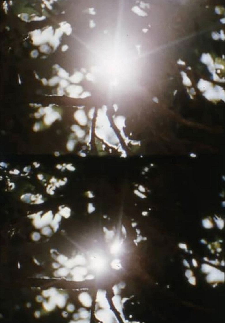 Imatge de Pastorale d'été