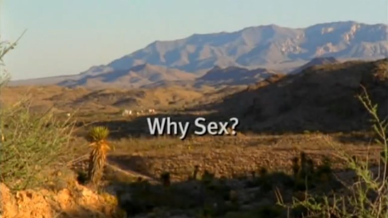 Still image for Evolution season 1 episode 5: Why Sex? Still image for Evolution season 1 episode 5: Why Sex?