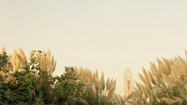 Image d'arrière-plan 2 du film Tamako in Moratorium