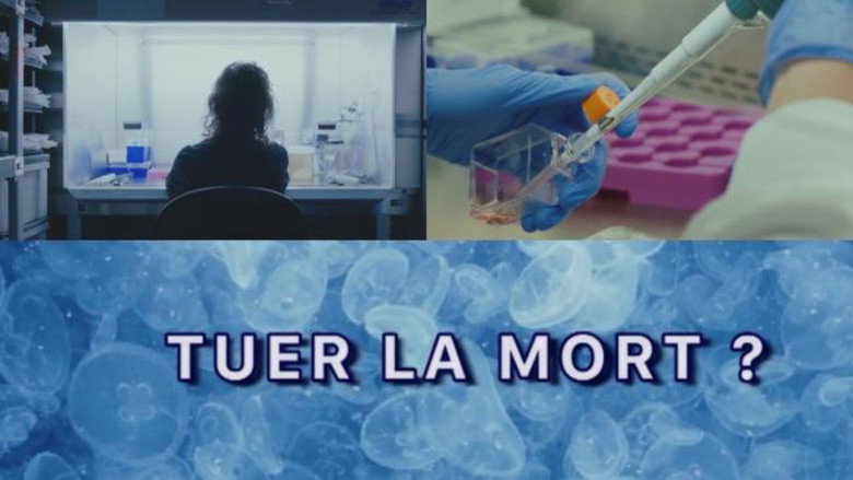 Gallery image from 5wb6ryaXHfd5SObyAO7BqeiQmCf.jpg