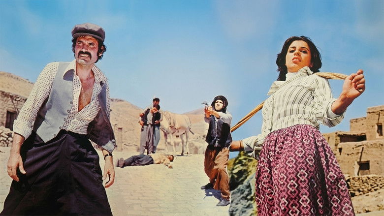 Image d'arrière-plan 2 du film Hıdır