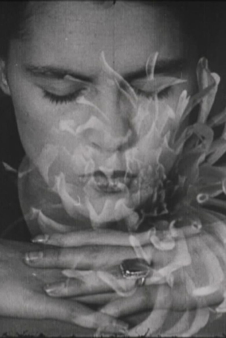 Imatge de Le retour à la raison