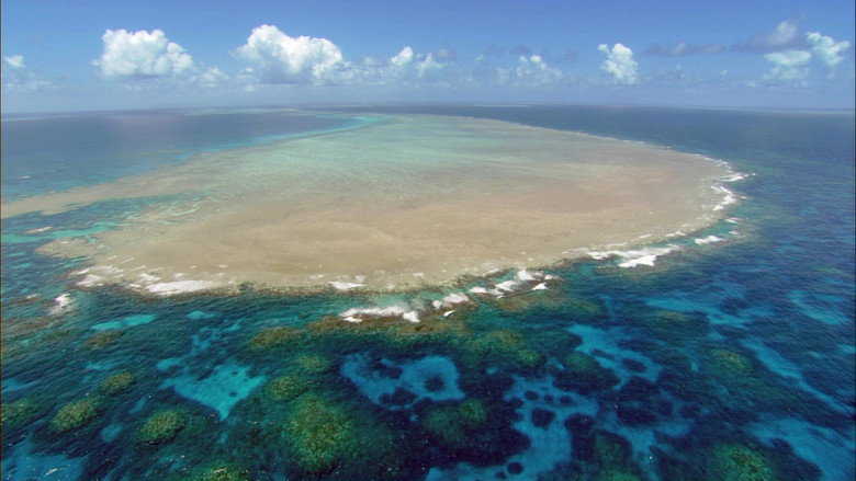 Still from Planet Earth - Season 1 Episode 9