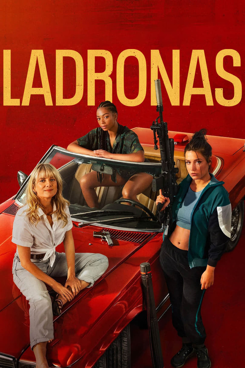 Póster la Película