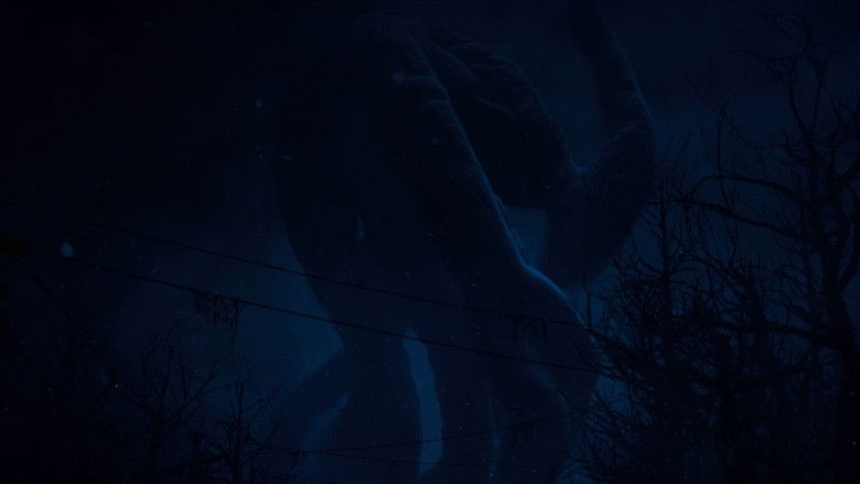 Gallery image from 5x6eXeZYlTPyPiLriDMwTrXNXYW.jpg