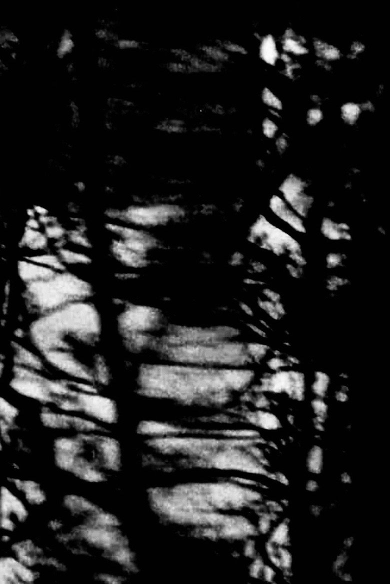 Imatge de Consolations (Love is an Art of Time)
