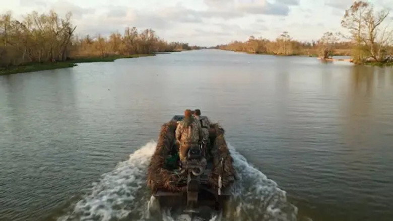 Land Meets Bayou