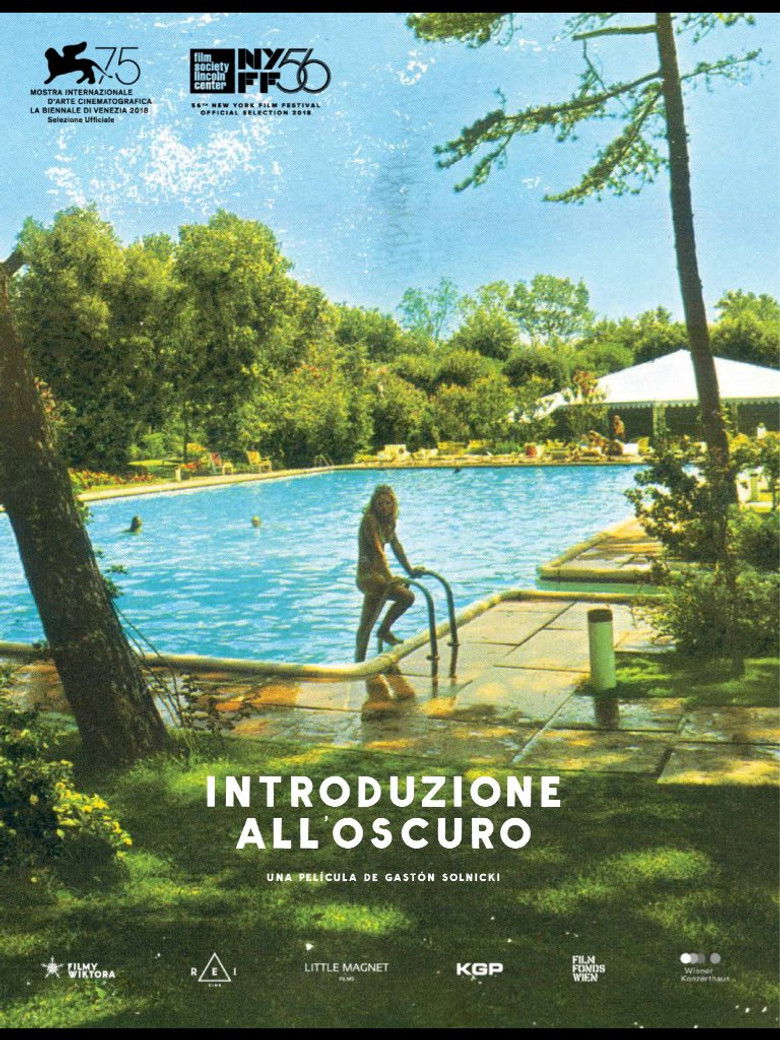 Imatge de Introduzione all'oscuro