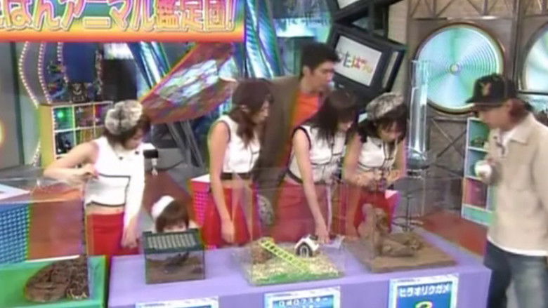 Country Musume. ni Konno to Fujimoto - Senpai ~LOVE AGAIN~