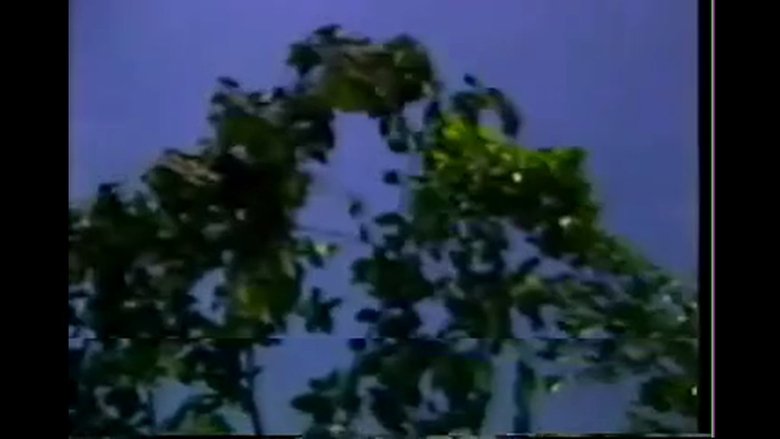 Still image for Pili season 1 episode 5: Episode 5 Still image for Pili season 1 episode 5: Episode 5