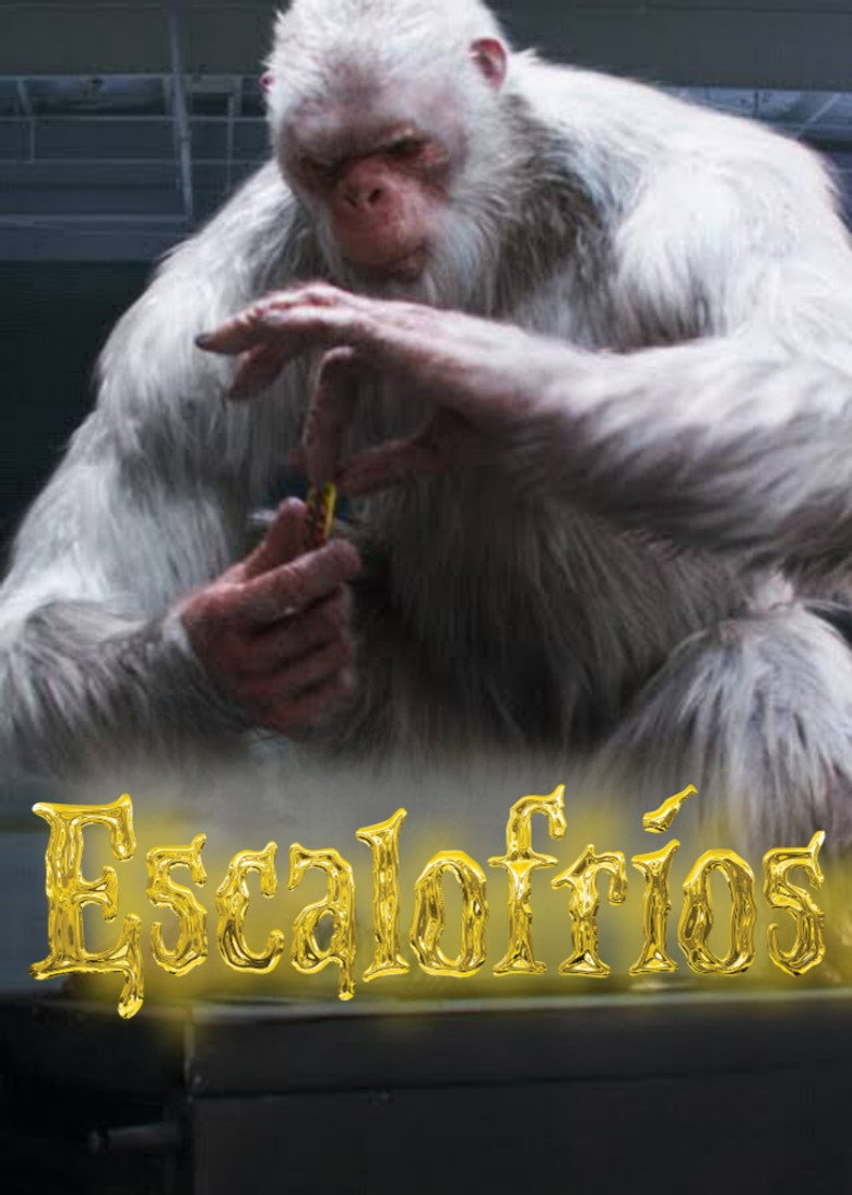 Póster la Película
