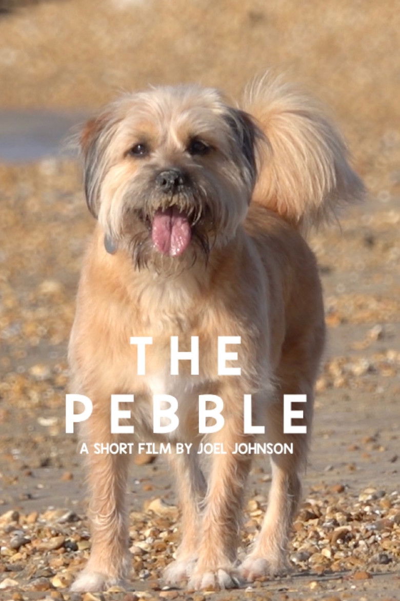 Imatge de The Pebble
