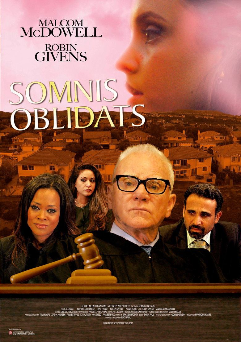 Imatge de Somnis oblidats