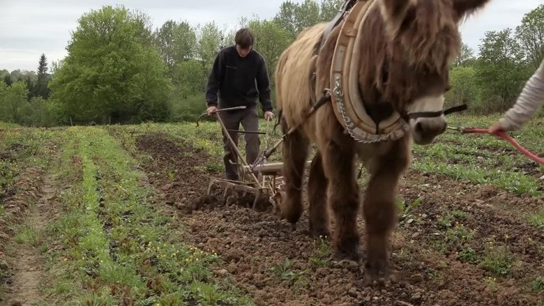 Regarder Ode Bertrand, lignée pour seul trait complet