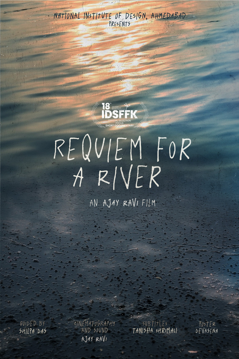 Imatge de Requiem For A River