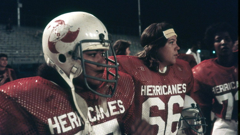 The Herricanes backdrop