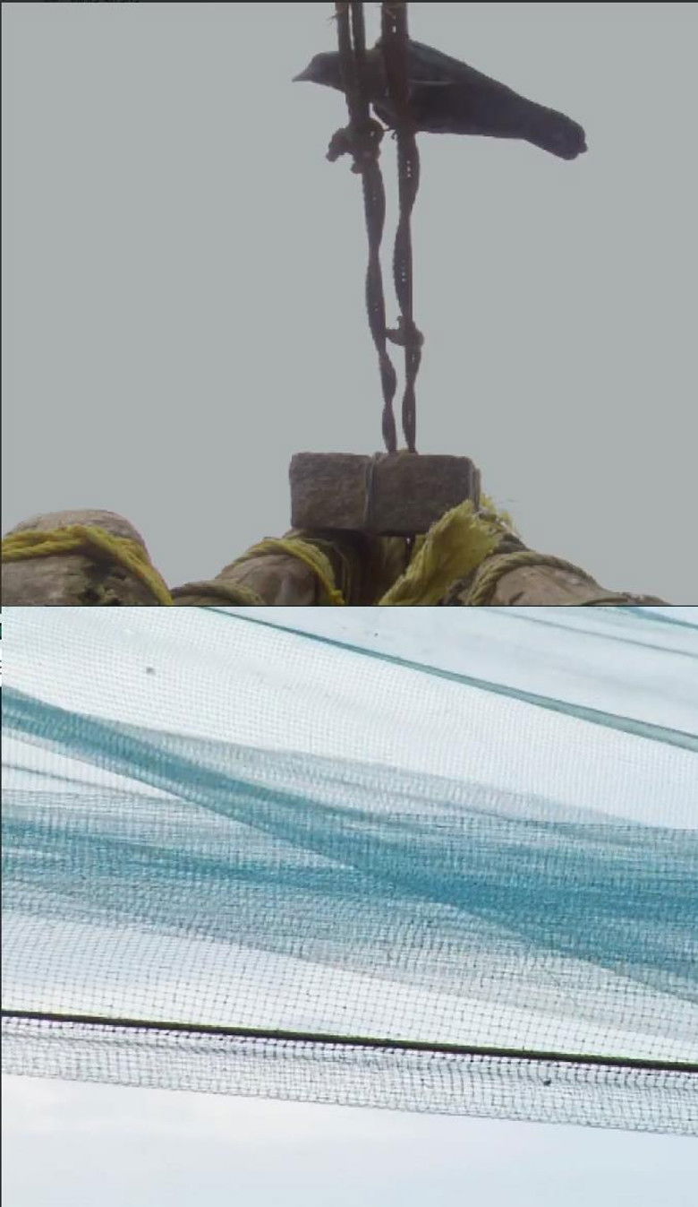 Imatge de Bound on Earth